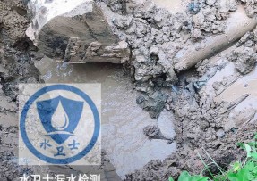 泌阳水管漏水检测公司5
